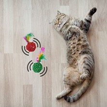 Aesco 2'li Rattan Renkli Peluş Tüy Kedi ve Köpek Oyuncakları
