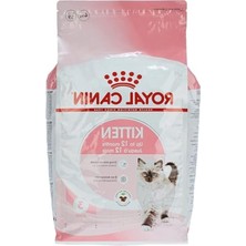 Aesco Yavru Kedi Için Kuru Mama 4 kg