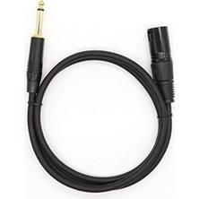 Aesco Xlr Erkek ve 6.35MM Erkek Kablo, 2 Metre Uzunlukta