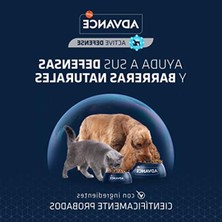 Aesco Somon Balıklı Yetişkin Kuru Kedi Maması, 3 kg