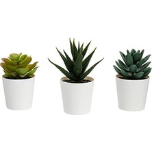 Aesco Ikea Saksılı Yapay Saksı Bitkisi, Iç ve Dış Mekan Için, 203.953.31, Sulu
