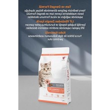 Aesco Tavuklu ve Pirinçli Yavru Kedi Maması 2 kg