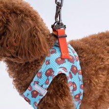 Aesco Köpekler Için Air-Mesh Göğüs Tasması, Xs Boyut