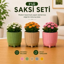 Poliwork 3'lü Luna 9 Ayaklı Saksı Seti 0,46 Litre Dekoratif Plastik Çiçek Saksısı Modern Bitki Saksısı