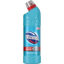 Aesco Domestos Okaliptüs Ferahlığı Yoğun Kıvamlı Çamaşır Suyu (1 x 750 Ml)