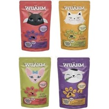 Aesco Dört Farklı Lezzette Kedi Ödülü, 80 gr Paket Içinde