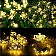 Aesco 30 Led'li Güneş Enerjili Aydınlatma - Çiçek Desenli
