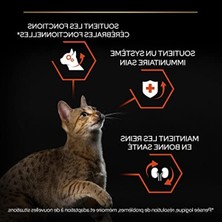 Aesco Somonlu Yetişkin Kedi Maması, 1.5 kg Boyutunda