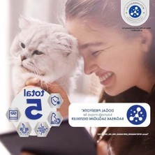 Aesco Yetişkin Sığırlı Kuru Mama, 750 G