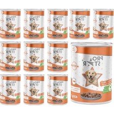 Aesco 400 gr Somonlu ve Jöleli Yetişkin Köpek Konservesi, 12 Adet
