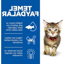 Aesco Sp Tavuklu Yavru Kedi Maması 1.5kg