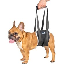 Aesco Sling Taşıma Aparatı, Felçli ve Yaşlı Köpekler Için Yürüyüş Desteği