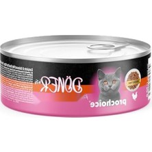 Aesco Yavru Kediler Için Soslu Tavuk Etli Besleyici Mama 70 gr