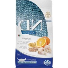 Aesco Morina Balıklı ve Portakallı Yetişkin Kedi Maması 1.5 kg