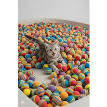 Aesco Renkli Zıplayan Kedi Oyuncağı Seti - 50'li Sünger Top Kova