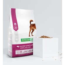 Aesco 2 kg Somonlu Küçük Irk Yetişkin Köpek Maması, Besleyici