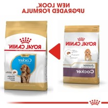 Aesco 3 kg Kuru Köpek Maması, Yavru Köpekler Için