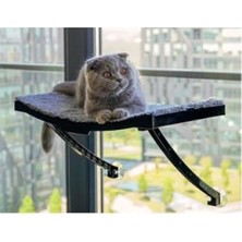 Aesco Vantuzlu Plastik Kedi Yatağı, Antrasit Renk