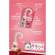Aesco Kuzu, Kılçıksız Buğday, Yulaf & Yaban Mersini Içeren Yetişkin Kedi Maması 1.5 kg