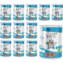 Aesco Balıklı Yetişkin Kedi Pate Konservesi - 400 gr x 12 Adet