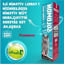 Aesco Kısırlaştırılmış Kediler Için Tüy Yumağı Önleyici Malt Macunu, 100 gr