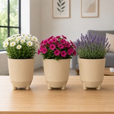 Poliwork 3'lü Set 1 Litre Ayaklı Luna 13 Plastik Saksı Dekoratif Çiçek Saksısı Modern Bitki Saksısı