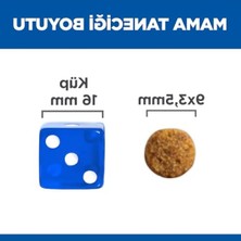 Aesco Hassas Sindirim ve Deri Yapısı Için Tavuklu Kedi Maması 1.5 kg