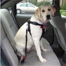 Aesco Kedi ve Köpekler Için Araç Emniyet Kemeri, Ayarlanabilir