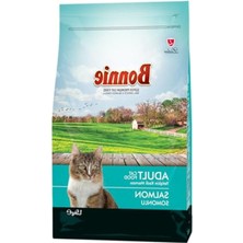 Aesco Somonlu Kuru Kedi Maması, Yetişkin Için 1.5 kg Ağırlığında