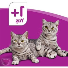 Aesco Tavuklu Yaş Kedi Maması, 85 G Tekli Paket