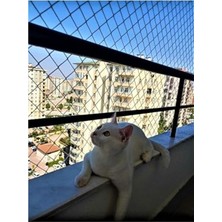 Aesco Mini Köşeli Pipo Filtresi, SB-833 Modeli