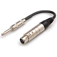 Aesco Empedans Transformatörü XLR3F - 1/4 Inç Ts, Ses Ekipmanları Için