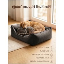 Aesco Plus Silinebilir Kedi Köpek Yatağı, Koltuk Kumaşı, Yıkanabilir, Gri, Large