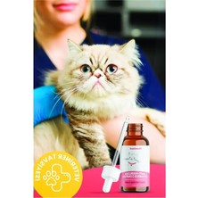 Aesco 1.5 kg Somon Aromalı Düşük Tahıllı Kedi Maması