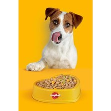Aesco Köpekler Için Dentastix Ödül Maması, 110 gr