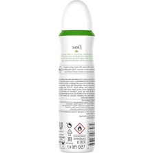 Aesco Salatalık ve Yeşil Çay Aromalı Kadın Deodorant, 150 ml Alüminyumsuz