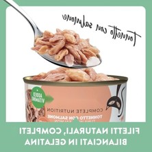 Aesco Ton Balıklı ve Somonlu Jöle Kedi Konserve Maması 85 gr