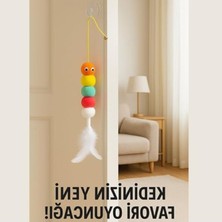 Aesco Yavru ve Yetişkin Kediler Için Interaktif Tüylü Oyun Oltası