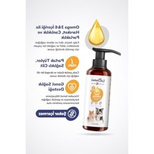 Aesco Balık Yağı, 200ML, Omega 3 ve 6 Takviyesi, Tüy ve Cilt Sağlığı Için