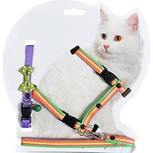 Aesco Puantiyeli Kedi Göğüs ve Bel Gezdirme Takımı