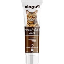 Aesco 100 ml Kedi Multi Vitamin Macunu, Prebiotik ve Biotin Içerir
