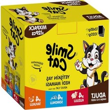 Aesco Cat Pouch Mix 12 Adet x 85 G Kuzu/somon/tavuklu