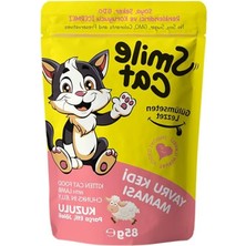 Aesco Cat Pouch 85 gr Yavru Kedi Kuzulu