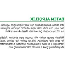 Aesco 100 Adet Yerli Doğal Badem Biberi Tohumu Seti