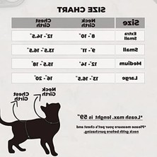 Aesco S Beden Sarı Patili Kedi ve Küçük Irk Köpek Gezdirme Tasması
