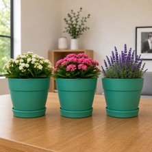 Poliwork 3'lü Set 1,1 Litre Manolya 13 Plastik Saksı Tabaklı Dekoratif Çiçek Saksısı Drenajlı Modern Bitki Saksısı