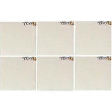 Aesco 15X15 cm Boyutunda 6 Adet Tuval, Resim Çalışmaları Için Uygun