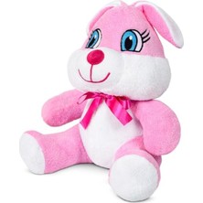 Aesco Renkli Peluş Ayıcık, 20 cm