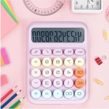 Aesco Büyük Ekranlı 12 Haneli Mekanik Hesap Makinesi - Mor, 4 Fonksiyonlu