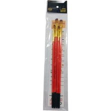 Aesco 4'lü Sentetik Akrilik Boya Fırça Seti, 2.5mm Genişlik